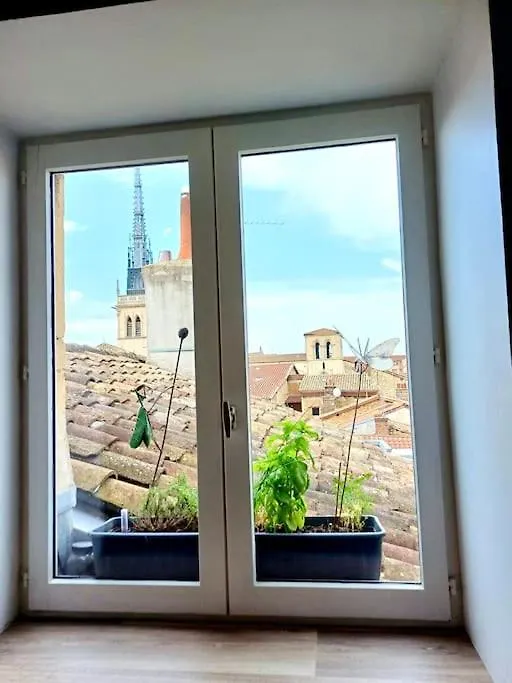 Appartement Le Nid Tropical Proche Gare à Villefranche-sur-Saône
