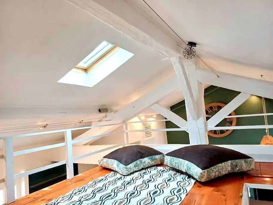Appartement Le Nid Tropical Proche Gare à Villefranche-sur-Saône