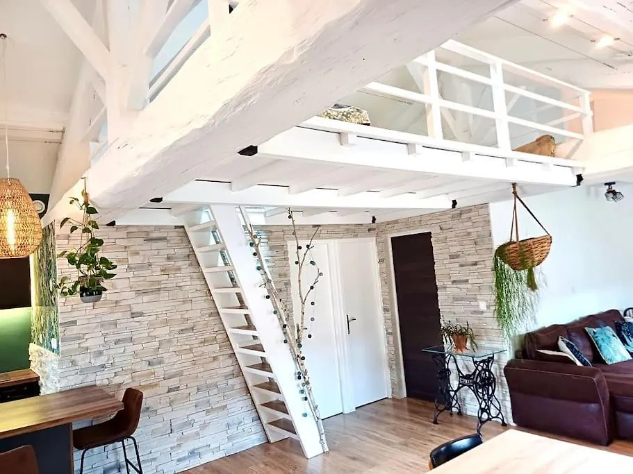 Appartement Le Nid Tropical Proche Gare à Villefranche-sur-Saône