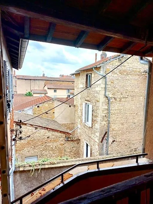 Appartement Le Nid Tropical Proche Gare à Villefranche-sur-Saône 0*,  France