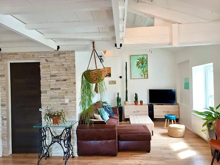 Appartement Le Nid Tropical Proche Gare à Villefranche-sur-Saône
